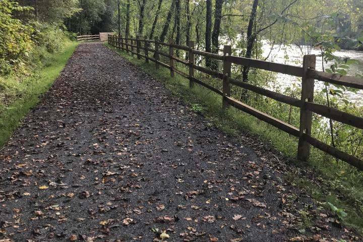 The scenic trail with trees on one side and the river on the other