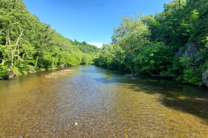 a body of water surrounded by trees