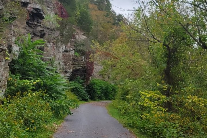 Path through lush forest with rocky cliff on left under cloudy sky.