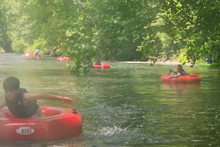 People tubing on a river under green trees, enjoying a sunny day.