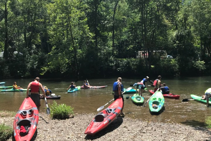 A roup of kayakers getting on the water