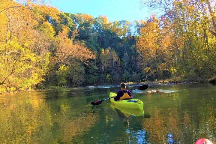 A kayaker on the river surrounded by trees