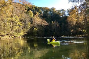 A kayaker on the river surrounded by trees