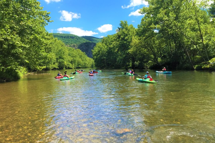 A group of kayakers paddling on the river
