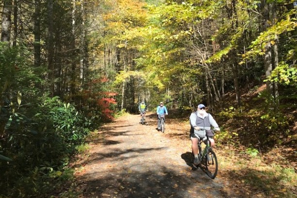a man riding a bike down a dirt path in a forest