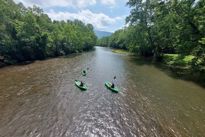 Three kayakers in green kayaks paddle down a river surrounded by lush green trees under a cloudy sky.