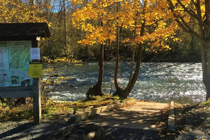 a bench next to a tree