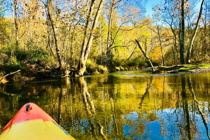 a close up of a pond