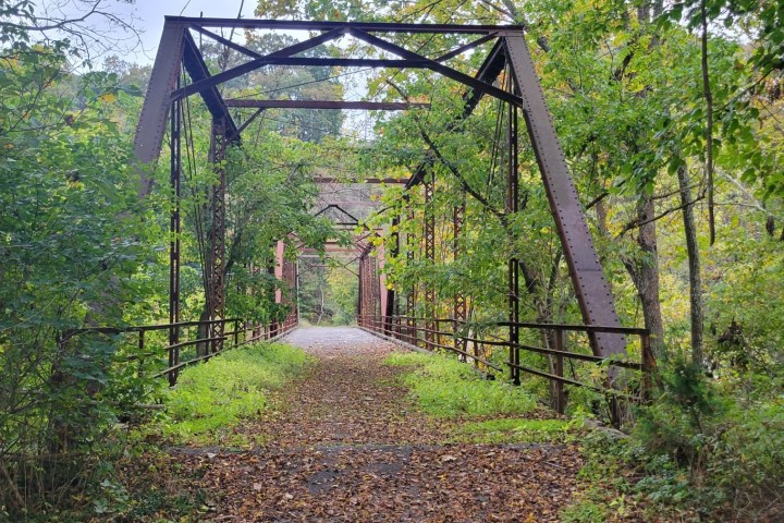 a bridge over a forest